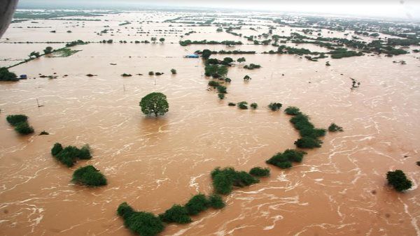 95 %થી વધુ જમીન પર થયુ વાવેતર