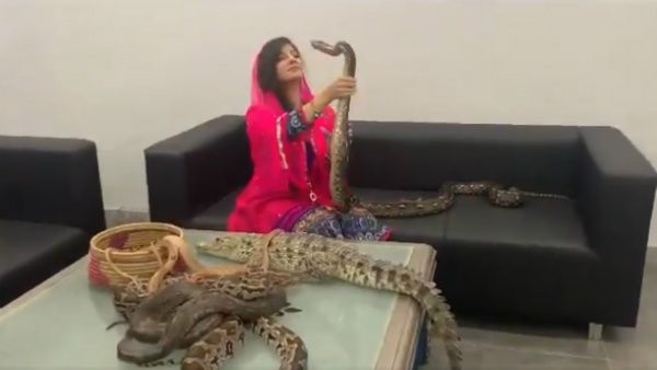 બધા સાપ પ્રધાનમંત્રી મોદી માટે છે