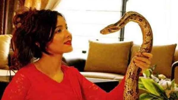 જંગલી જાનવરોને પાલતુ બનાવીને રાખવાનો આરોપ