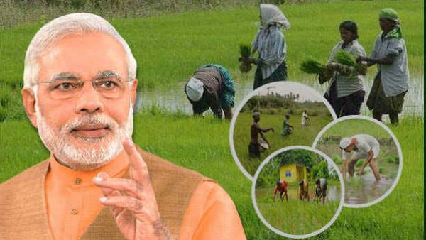 શું છે પીએમ કિસાન યોજના
