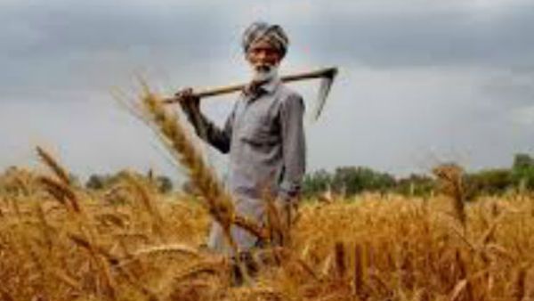 ખેડૂતો જાતે કેવી રીતે કરી શકશે રજીસ્ટ્રેશન