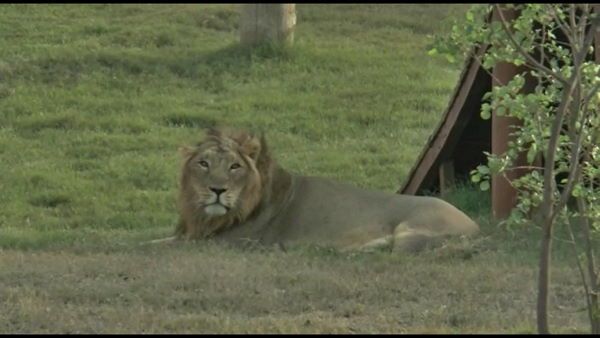 તૌકીરના મોતનો પતો લગાવવાની કોશિશ