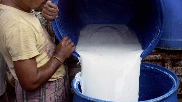 દૂધ પીવાથી આરોગ્ય બગડી રહ્યુ છે