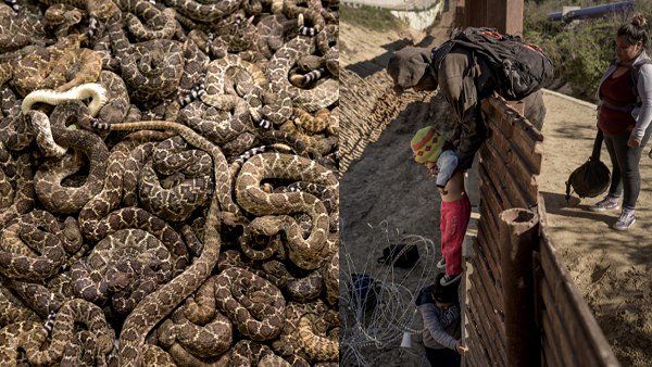 માર્ચ મીટિંગમાં બોલ્યા હતા ટ્રમ્પ