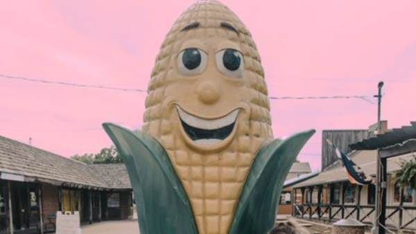 ધ કોર્ન પેલેસઃ અમેરિકા