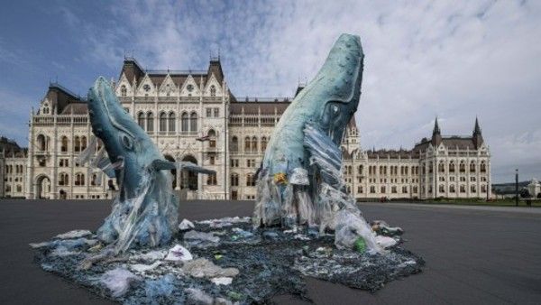 પહેલેથી જે નિયમો છે તે કડક કરાશે