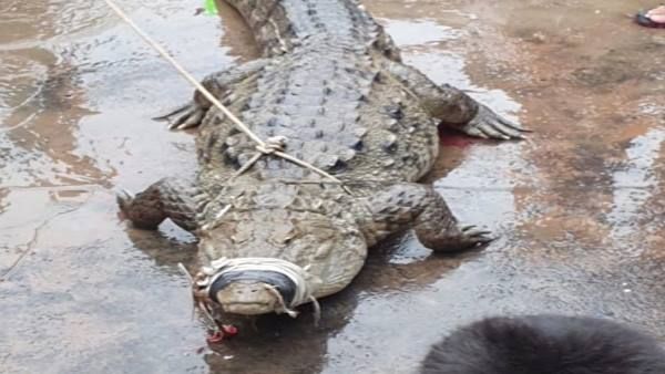 ઘરથી બહાર નિકળવાથી પણ ડરી રહ્યા હતા