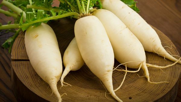 મુળા સાથે આ વસ્તુઓ ખાવાનું ટાળો, નહિતર મુસિબતમાં ફસાશો