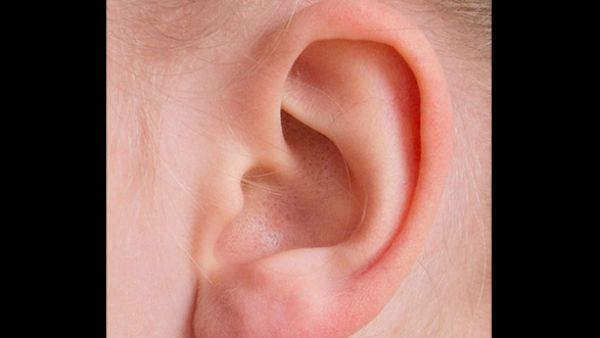 પહોળા કાન સફળતાના સૂચક