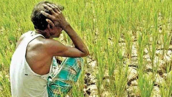 ખેડુતો જાતે જ પોતાની નોંધણી કરાવી શકે છે