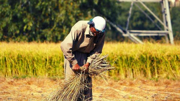 જો તમને પૈસા નહીં મળે તો ફરિયાદ કરો