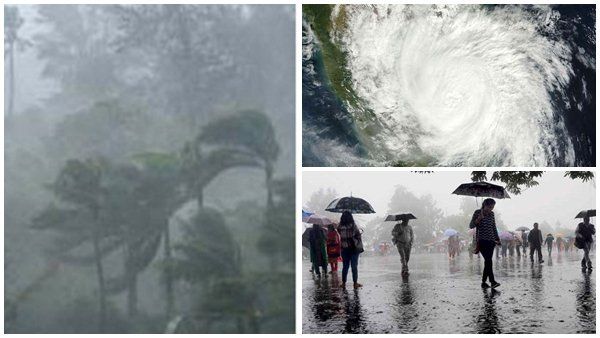 ગુજરાતના આ વિસ્તારોમાં વરસાદ પડશે