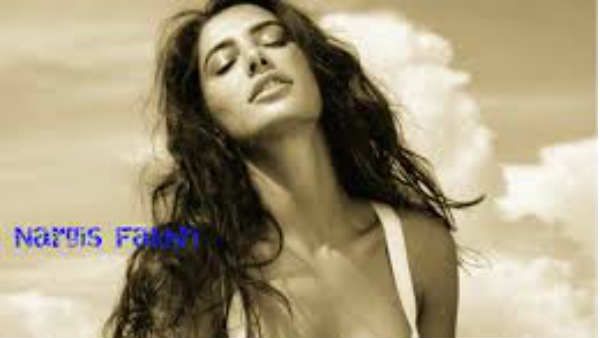 ઈન્ડસ્ટ્રીમાં મચાવી ધમાલ ઈન્ડસ્ટ્રીમાં મચાવી ધમાલ