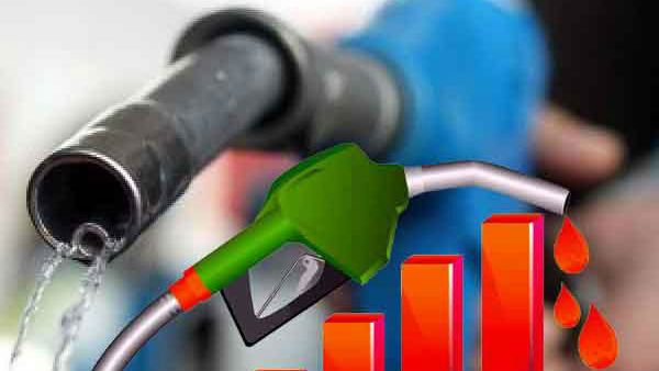 આટલું કરો