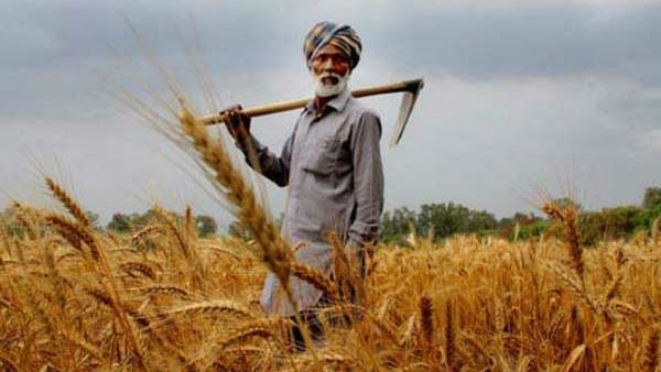 આવા ખેડૂતોને નહીં મળે પૈસા આવા ખેડૂતોને નહીં મળે પૈસા