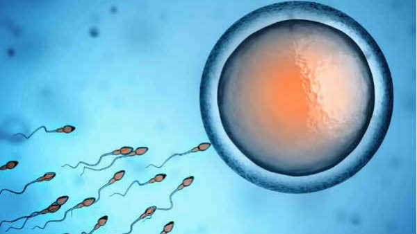 જૈવિક કારણ 