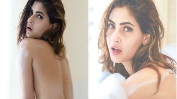 આ બધા ટીવી શોનો હિસ્સો