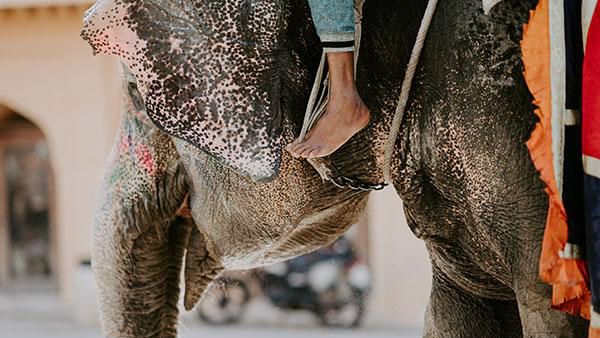 દક્ષિણ ભારતમાં પ્રવાસ વખતે આ વાતોનું ધ્યાન રાખો