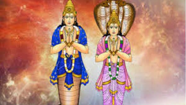 રાહુ-કેતુ અંગેના ઉપાય