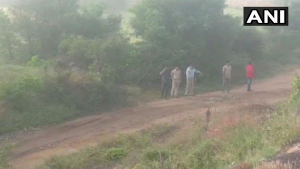 7 દિવસની કસ્ટડી