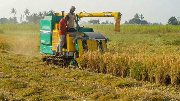 Vision 2020: ભારત કૃષિ અને ખાદ્ય સુરક્ષામાં કેટલું આત્મનિર્ભર બન્યું?