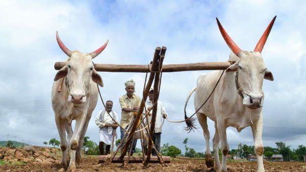 પીએમ કિસાન યોજના પીએમ કિસાન યોજના