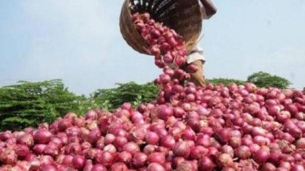 દેશમાં જલ્દી ઘટશે ડુંગળીના ભાવ, તુર્કીથી આવશે વધુ 12,000 ટન ડુંગળી