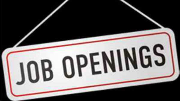 વર્ષ 2020: 7 લાખ નોકરીઓનું વિતરણ થશે, જાણો કયા ક્ષેત્રમાં સૌથી વધુ