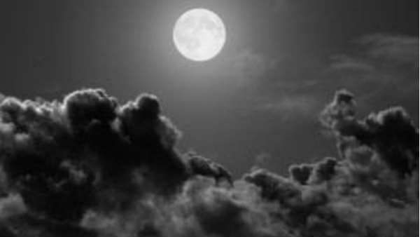 સાયન્સ મુજબ