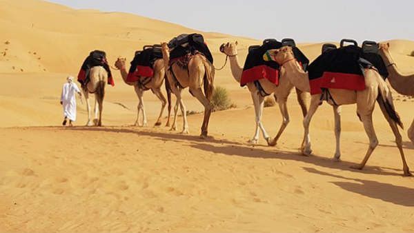 જ્યાં પાણી દેખાય ત્યાં જ ચાલ્યા જાય છે આ ઉંટ