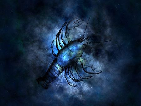 કર્ક કર્ક