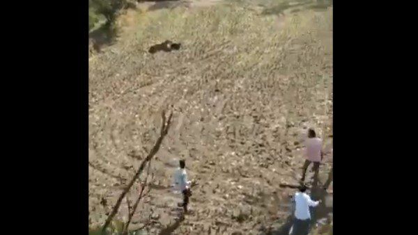 31 સેકન્ડનો રૂવાટાં ઉભાં કરી દે તેવો વીડિયો