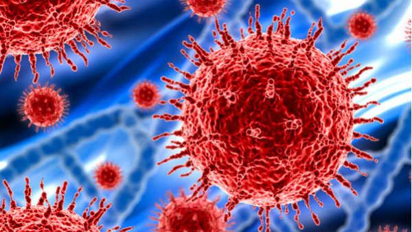 ક્યાંથી આવ્યો કોરોના વાયરસ?