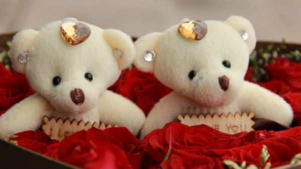 ટેડી બિયરની જેમ તમારો પ્રેમ પણ ક્યુટ ટેડી બિયરની જેમ તમારો પ્રેમ પણ ક્યુટ