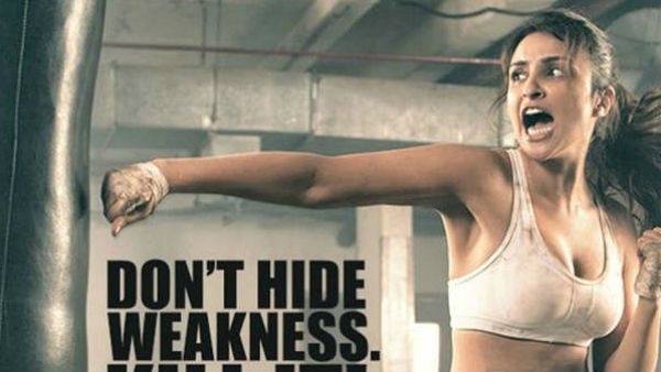 પરિણીતી અને વાણીને કરાઇ અપ્રોચ