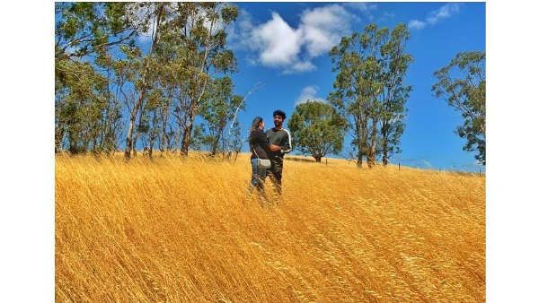 આવી રીતે થઈ મુલાકાત
