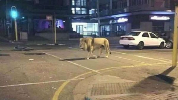 આંકડા કરતાં વધુ વસ્તી હોવાની શક્યતા - નિષ્ણાતો