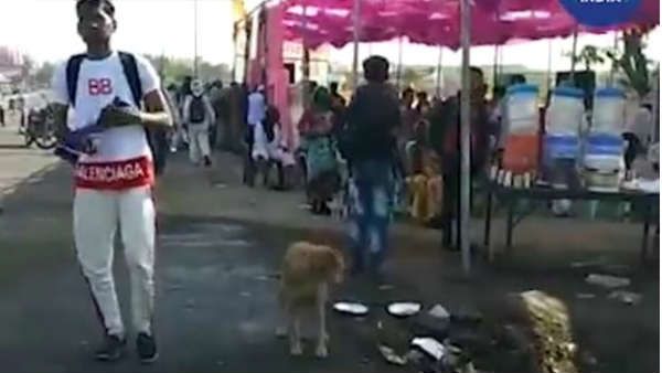 હોળી રમવા પદયાત્રા કરી દ્વારકા જતા લોકો