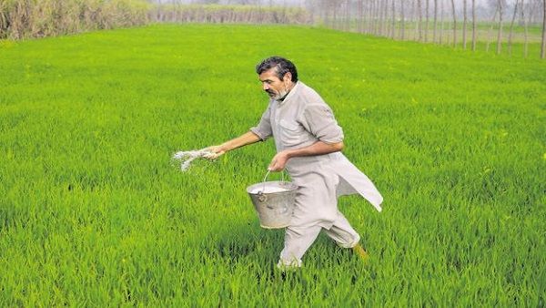 રાજ્યમાં 50 લોકો શંકાસ્પદ રાજ્યમાં 50 લોકો શંકાસ્પદ