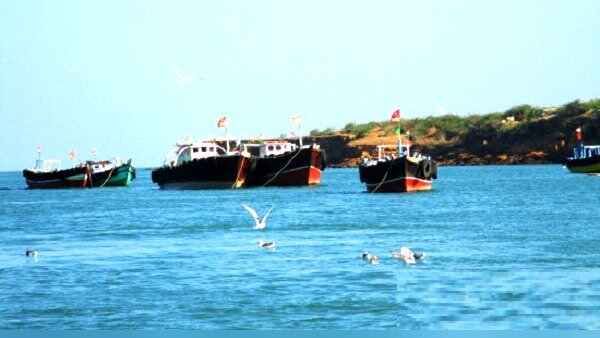 ભોજન, દવાઓની વ્યવસ્થા દ્વારકા પ્રશાસન કરી રહ્યુ