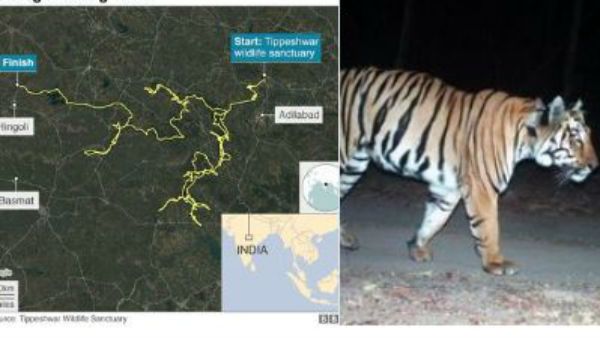 સોશિયલ મીડિયા પર તસવીર વાયરલ થઈ