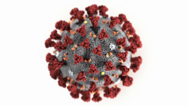 નવ દિવસ સુધી જીવિત રહી શકે છે વાયરસ!