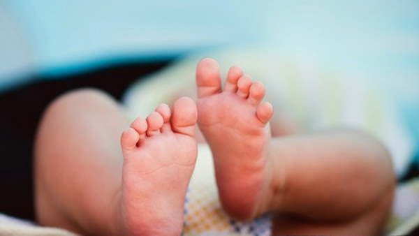 ઈલાજ શરૂ કરાયો