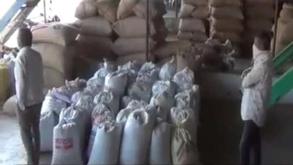 ડીસાનુ મુખ્ય માર્કેટ યાર્ડ હરાજી શરૂ થતા ધમધમ્યુ