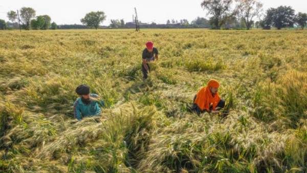 20 એપ્રિલથી દેશની 45% અર્થવ્યવસ્થામાં શરૂ થઈ જશે કામ, ગ્રામીણ ક્ષેત્રો પર વધુ ધ્યાન