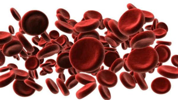 ઇરફાનનો રોગ અસાધ્ય હતો