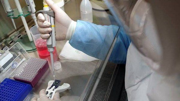 96 લોકો પર પરીક્ષણ કરાયું 96 લોકો પર પરીક્ષણ કરાયું