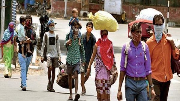 એમને રોડ પર મરવા માટે છોડી ન શકાય