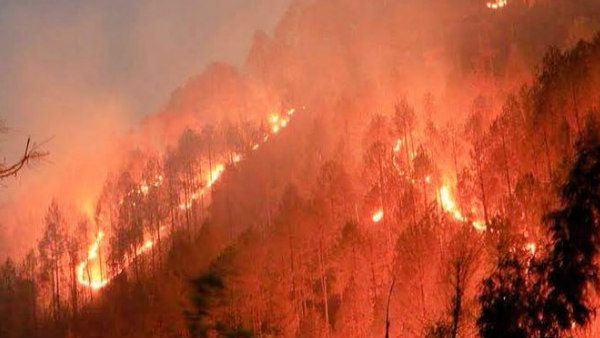 Fact Check: ઉત્તરાખંડના જંગલોમાં લાગેલી ભીષણ આગની સચ્ચાઈ શું છે?