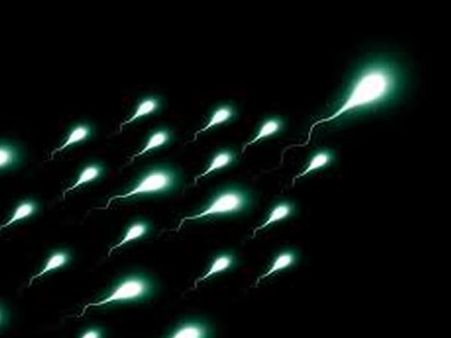 સીમન એલર્જી ગર્ભાવસ્થાને પ્રભાવિત કરે છે?